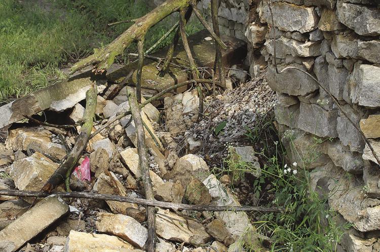 Cemetery neglect stirs frustration, prompts county review