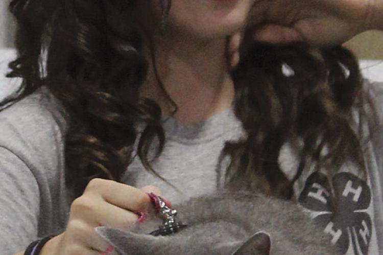 ARIANNA KOST-MIRANDA of Lawson 4-H Club presents her cat during the Ray County Fair Cat Show.