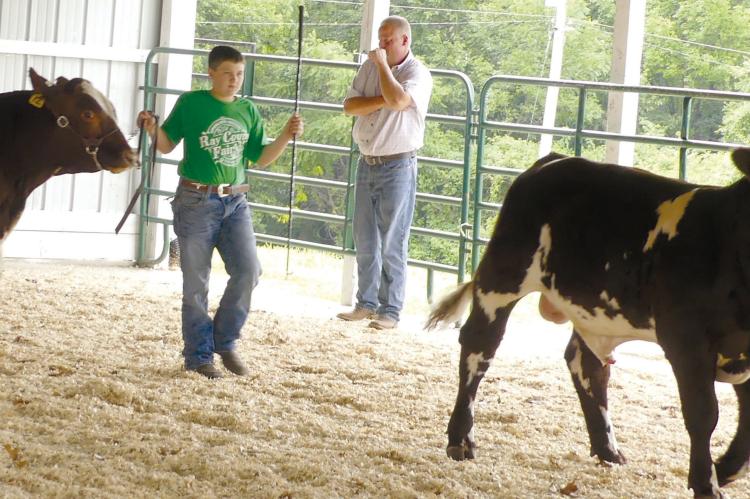 ELIZABETH BARNT | Staff BOBBY WILSON and Luke Smith showcase their shorthorn yearling bulls for judging.