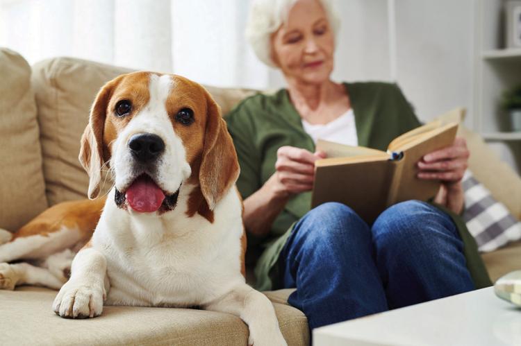 Stay mentally sharp after retirement