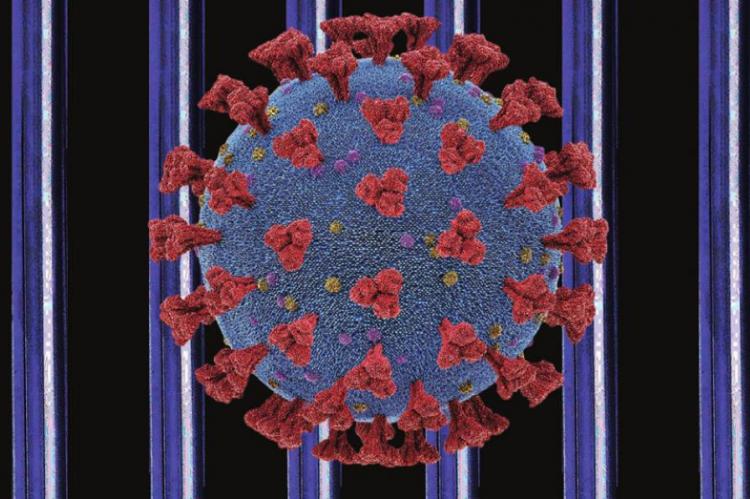 CORONAVIRUS breaks into the Ray County Jail. J.C. VENTMIGLIA | Staff