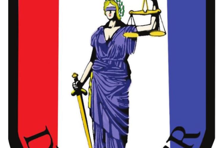 Alt Text for Image