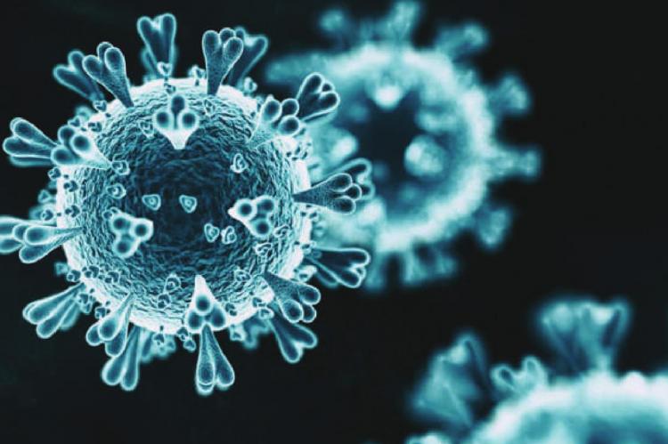 CORONAVIRUS testing funds are up for Missouri, U.S. Sen. Roy Blunt says.