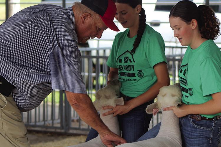 JACEY (RIGHT) AND KINSEY HIESEY prepare their animals for the judge’s inspection.