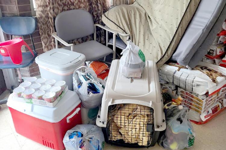 PET FOOD, toys and other essentials are collected by seven local businesses in support of the Ray County Humane Society and Autumn Acres. SHARON DONAT | Staff