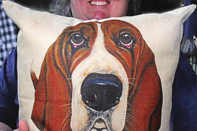 JENIFER DICKSON raises funds through sales at Bark Bargains Thrift Shop, 112 S. College St. Store income helps defray the costs to expand Autumn Acres. J.C. VENTIMIGLIA | Staff