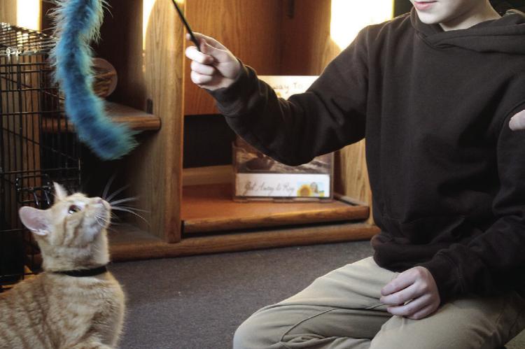 TOM WISSMUELLER meets an adoptable cat during a community adoption event designed to connect residents with rescue animals and provide information about the adoption process. MIRANDA JAMISON | Staff