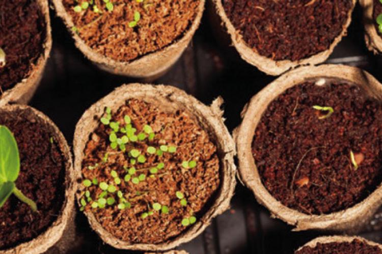 Learn to Grow Your Food event series begins