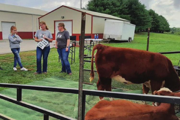 ABOUT CATTLE… Taylor and Tatum McGlothlin teach a group of Agriculture Science II students about Hereford cattle.