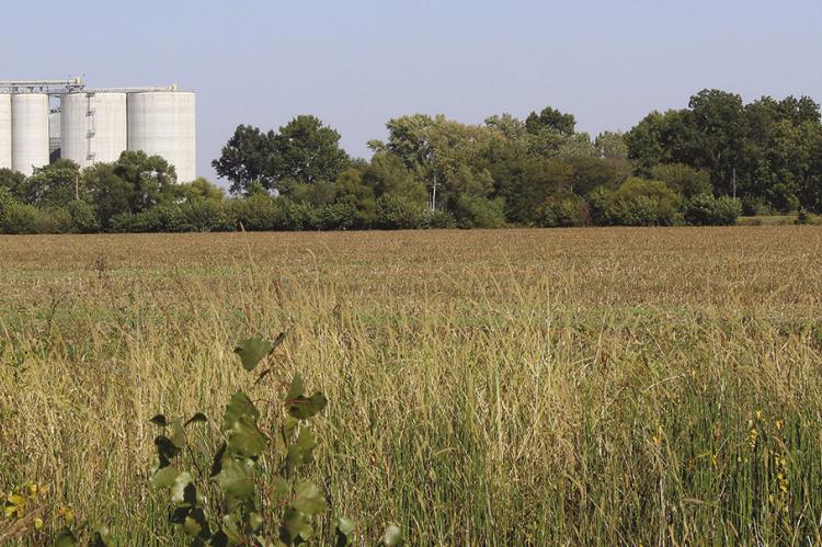 Missouri 2025 Ag Outlook