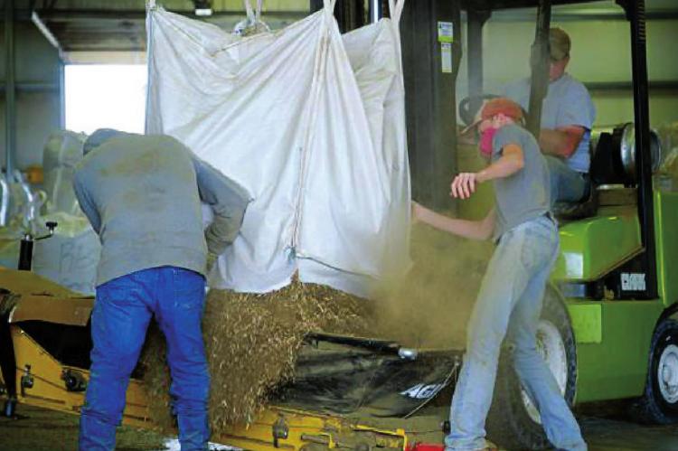 BRIAN GRIMMETT | Harvest Public Media Workers at Shining Star Hemp Co. load a bag of hemp biomass into the processor.