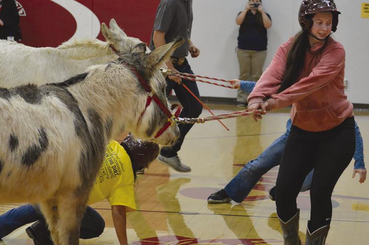 SELENE TOMPKINS tugs on the reins, hoping to grab a loose ball, during the 2022 donkey basketball game. SHAWN RONEY | Staff