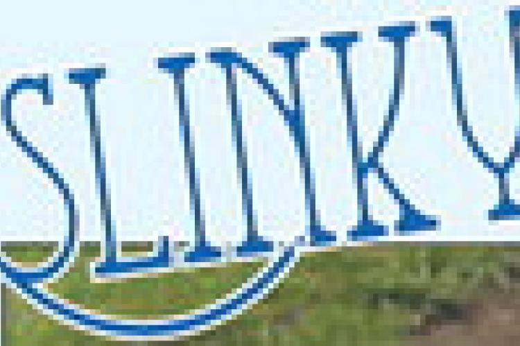 SLINKY