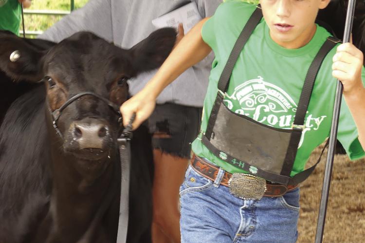 CORBIN BROCKHAUS won first place in the junior showmanship class.