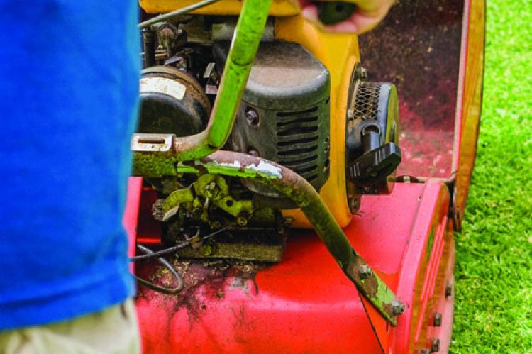 Lawn scarifying explained