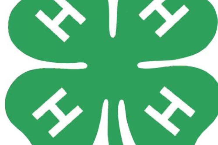 Alt Text for Image