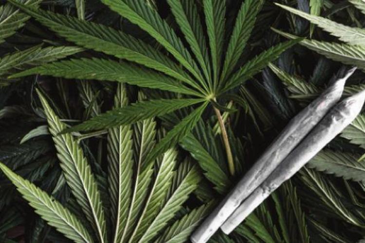 DEMAND strong for medical marijuana.