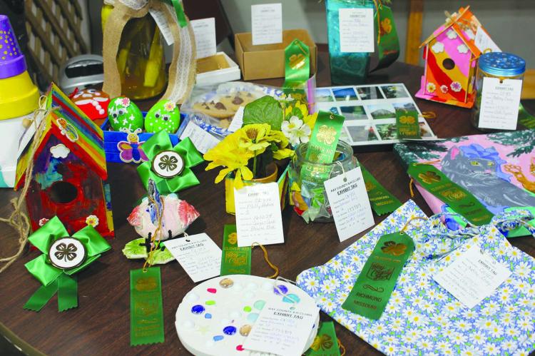 SCATTERED ACROSS the table are 4-H youth and Clover Kids’ projects from the 4-H Exhibit Day at the Eagleton Senior Center.