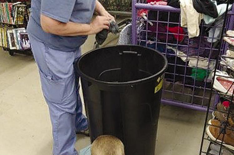 Micah Trout helps Patty Thompson (standing) sort socks. DAVE DONALDSON | Staff