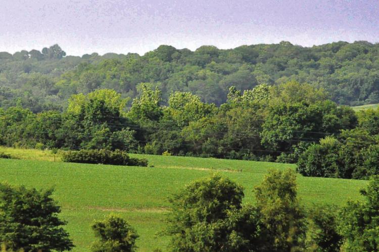 MISSOURI HIGHWAY 13 just north of Dockery offers some wonderful scenery for bicycle racing. SHAWN RONEY | Staff