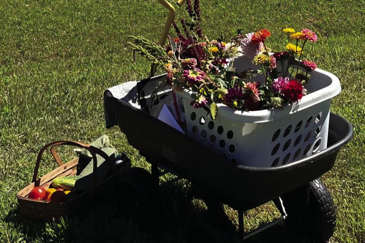 LITTLE GREEN GARDEN’S flowers are grown for one reason: to elicit a response from a customer.