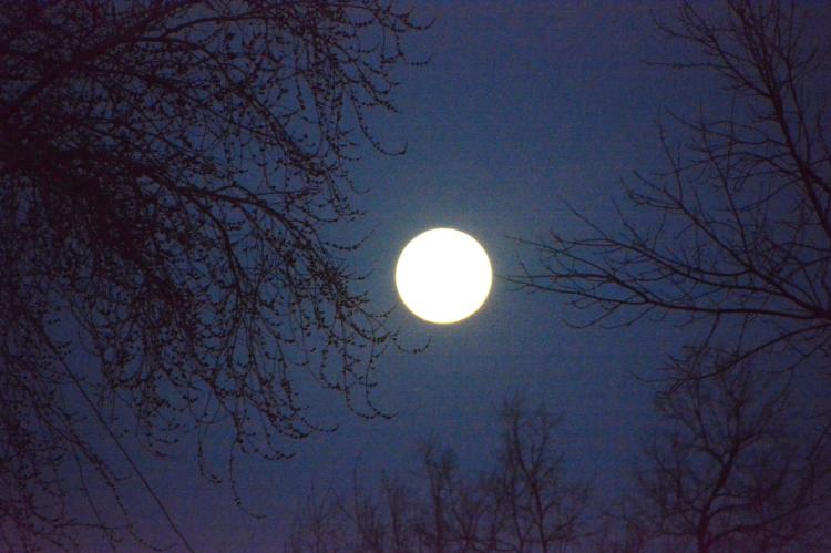 Full moon