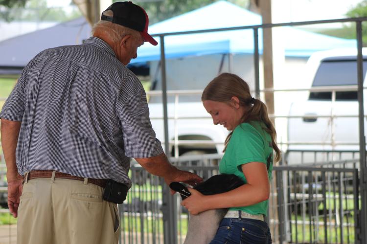 Extra Exposure: Sheep and Goats Fair 2025