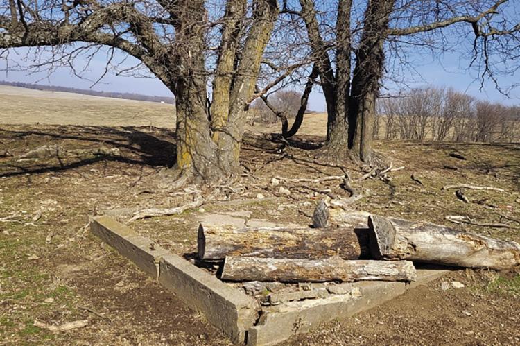 A PART OF THE foundation of the former Henry Giles home is still present on the land. Submitted