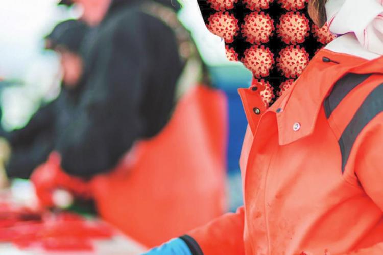 MEAT PLANT worker alleges having to work without COVID-19 protection.