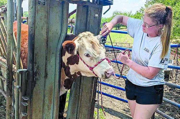 Two RHS FFA students fair-prepped