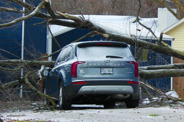 STRONG WINDS and blizzard conditions early Wednesday caused a tree to fall onto a Richmond resident’s home and vehicle. SHARON DONAT | Staff
