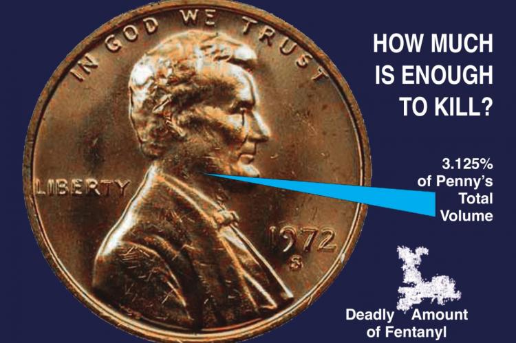 THE FRACTION RAY coming from the center of the penny equals 3.125% of the penny’s total size. The white powder shape represents the amount of fentanyl needed to kill a person. The amount of fentanyl that could kill a person is about 3% of the size of a penny. J.C. VENTIMIGLIA | Staff graphic