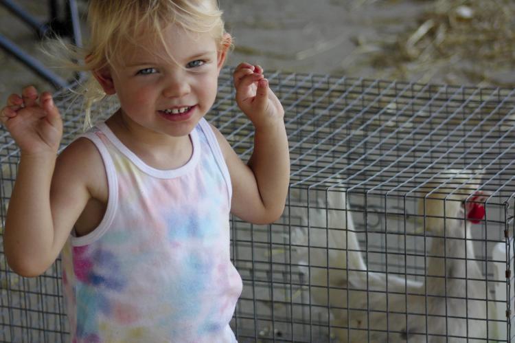 MCKENNA CLEVENGER dances near her sister’s chickens before the poultry show. See pages 5 through 10 for more fair coverage. SOPHIA BALES | Staff