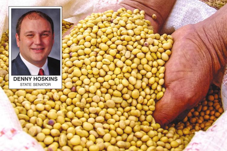 SEN. DENNY HOSKINS’ biodiesel bill is designed to add to the viability of soybeans as a Missouri fuel, but only if the bill somehow gets through this year’s virus-abbreviated General Assembly session.