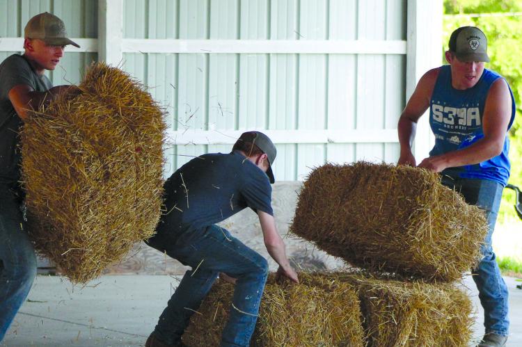 WESTON ALLEN (from left), Gunnar Teegarden, and Dillon Oyler complete a hay bale task. SHARON DONAT | Staff