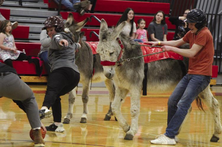 MELISSA LEHMAN (left) uses her foot to steal the ball while Clayton O’Dell tries to rein in his donkey at the Richmond FFA Donkey Basketball Fundraiser. See more photos on page 7. SHARON DONAT | Staff