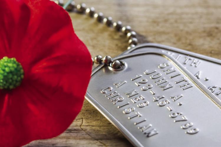 Poppy: A tribute to fallen heroes
