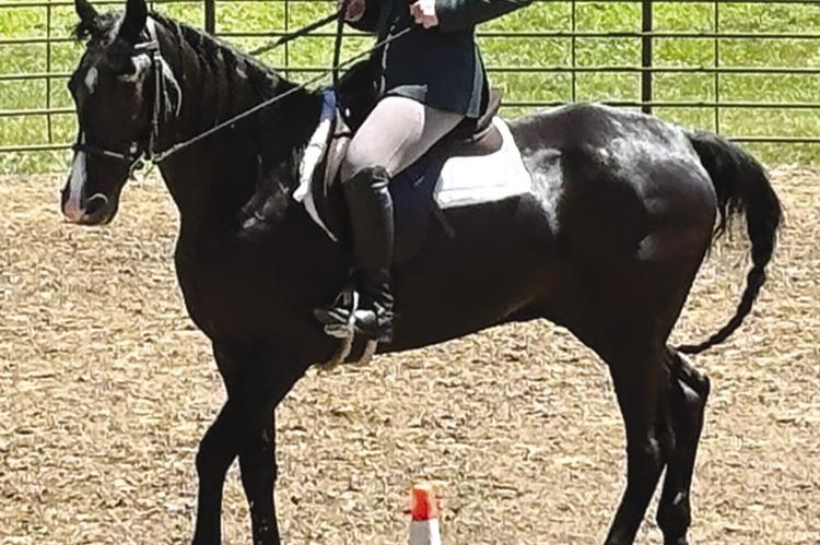 REAGAN ALLEN brings her horse Fred to a trot. JOSHUA BRUNGARDT | Staff