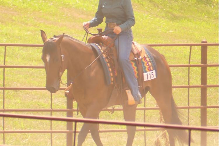Horse show kicks off fair