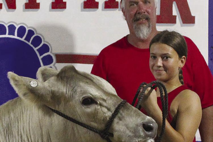 KINLEY CALVERT holds the cow’s lead for the auction.