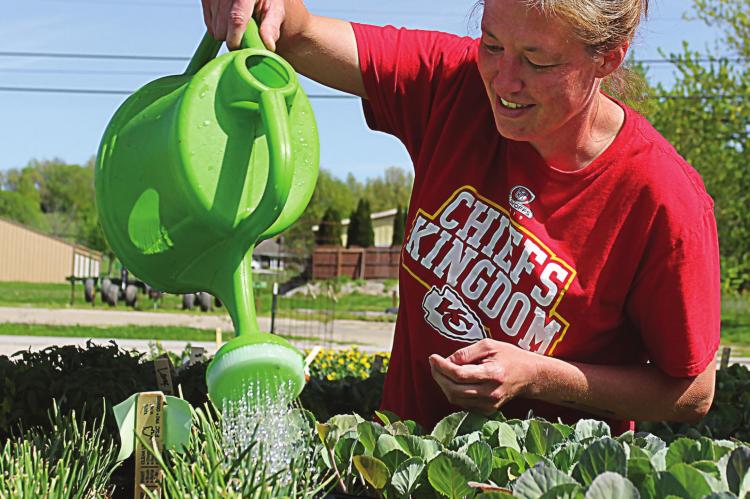 AT THE ENTRANCE to the greenhouse, Mandy Hachman waters onions and broccoli. J.C. VENTIMIGLIA | Staff