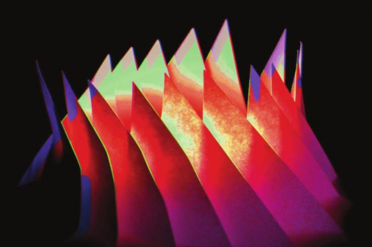 THIS PHOTOGRAPH, “Color Spikes,” is an example of Trey Banning’s work.