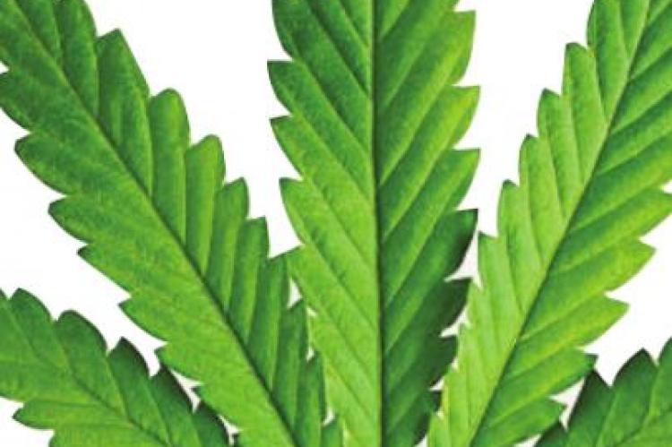 Missouri could become 20th state to approve sale of marijuana for recreational use
