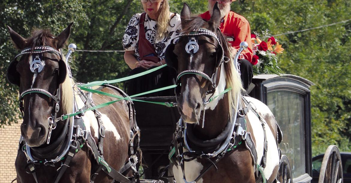Reins of remembrance