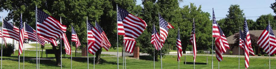 FLAGS WAVE IN the wind in memory of service men and women who lost their lives in service to our country. SHARON DONAT | Staff
