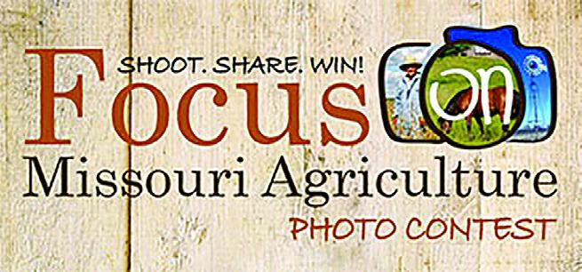 Focus on Missouri Agriculture photo contest is underway