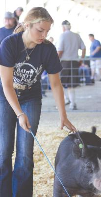 CHARLEE MANSELL guides her swine during the Ray County Fair’s Swine Show on Tuesday. Sophia Bales | Staff