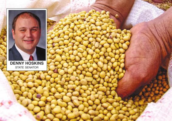 SEN. DENNY HOSKINS’ biodiesel bill is designed to add to the viability of soybeans as a Missouri fuel, but only if the bill somehow gets through this year’s virus-abbreviated General Assembly session.