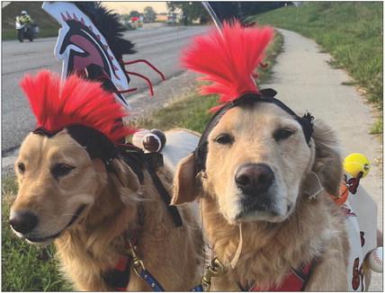 FLUFFY RICHMOND residents Penny and Piper show their Spartan pride on Hwy 13. Dog owner Reggie Wheeler stated his goal in life is to make others happy and dressing up his pups, puts a smile on people’s faces. SOPHIA BALES | Staff