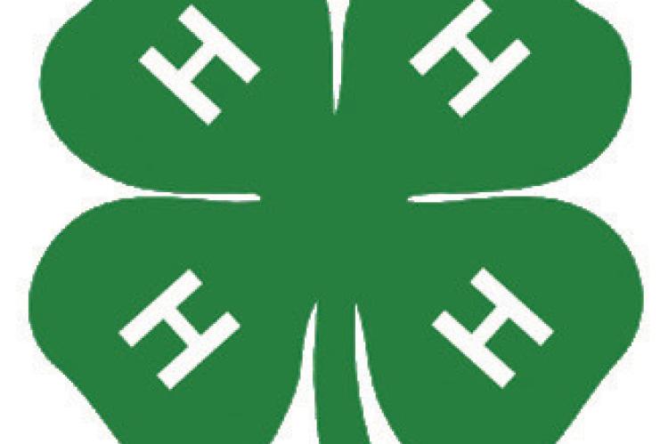 4-H history shared